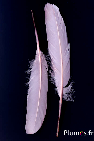 Cygne Soie - 25-30 cm - beige rosé